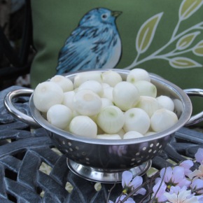 Cheat Codes – Peeling Pearl Onions